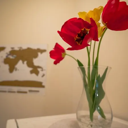 Garden Gate * Weliko Tarnowo